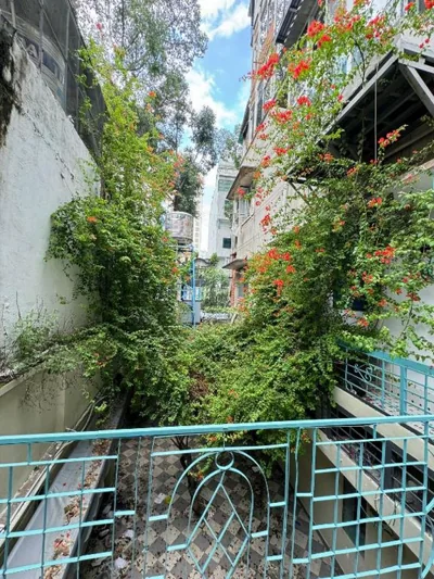 La Tortue Saigon - Boutique Homestay Near Turtle Lake – Fotos 7